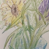 絵を描く人たちのお洗濯事情