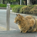 まだ岩手に住んでるの？