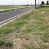こうも雨続きだと耕耘機すら動かせない