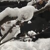 雪が続いています。