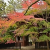 🍂千葉県松戸市『東漸寺』 の紅葉😊