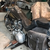 1985 FXST Softail