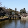 日本　彦根城と水鳥たち 