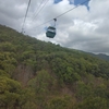 キュランダ観光 (Kuranda)