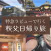 特急ラビューで行く秩父日帰り旅｜秩父神社＆祭の湯に行ってました