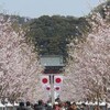 花狂い（３）