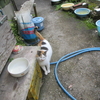 猫たちと暮らす