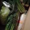 野菜が届く