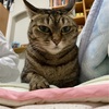 梅雨入りフィーバータイム