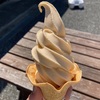 #555 【ご当地ソフトクリームの旅】その5 びわソフトクリーム