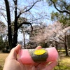 「小１の壁」らしきもの、お花見と桜餅、チャンピオンカレー
