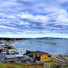 「いば旅あんしん割」でお得に旅行を楽しもう！【前編】丸徳旅館のあんこうコースに月の井の「彦市」