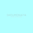 しょうもないや
