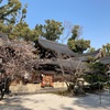 （京都ぶらぶら）今宮神社に招かれたっぽい話