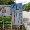 岐阜県郡上市美並町粥川地区にある『うなぎ天国橋』