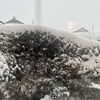 思った以上に雪でした。