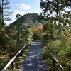 光悦寺には鷹峰三山を見渡せる美しい庭園がある（京都市北区鷹峯）