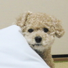 GW（特に何もない）