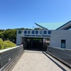 帰国して数日で日本色に染め戻された
