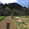 ３密からかけ離れたある山村の畑