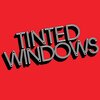 Tinted Windows / Tinted Windows (2009)