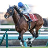 競馬初心者必見☆馬券予想🔥〜ステイヤーズS〜長距離戦は大荒れはないか