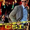 CSI:Miami　S6 #9　銃口のプライド　Stand Your Ground