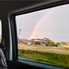 ４００年に一度咲く花 誤報でした Amanokotone S Blog