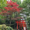 7kmではわんぱくランチに足りないでしょうけど