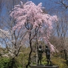 箱根彫刻の森美術館