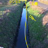 公園裏手のお散歩