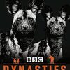 リカオンの群れの生態に迫った、野生動物が好きな方にお薦めのドキュメンタリーのGraded Reader、『Dynasties: Painted Wolves』のご紹介