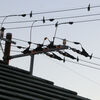 ２０２１年１２月に撮った写真