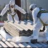 Asbestos Removal Sydney  