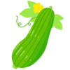 ヘチマのフリーイラスト素材