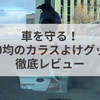 車を守る！100均のカラスよけグッズ徹底レビュー