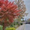 三重県のヤマギシの村・春日山の紅葉Photo