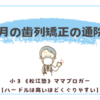 4月の歯列矯正の通院でした〈小３あんこ〉