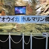 アクアスの魚・生き物たちシリーズ ㉑ ：島根県浜田市・江津市