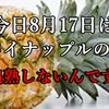 今日8月17日は  パイナップルの日です。驚いたのは  パイナップルは追熟しないんです。