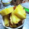 諭吉さんが戻ってらっしゃいました