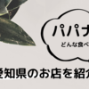 【2023年トレンドスイーツ⁉】パパナシってどんな食べ物？愛知県で食べられるお店は？