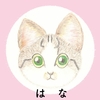 リニューアル！