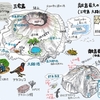 離島最大の火口湖（三宅島の大路池）