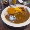 塩豚角煮ジンジャーカレーCoCo壱番屋から新発売！！お肉がとろっとろで口の中でほろほろと溶けていく…こりゃ美味いわ！！