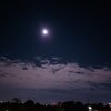 十三夜月と渡り鳥