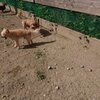 現実と希望。