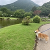 【三重県紀北町】種まき権兵衛の里へ行ってきました