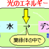 水草とCO2のご関係　を考える　 －(1)