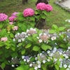 雨模様の日曜日